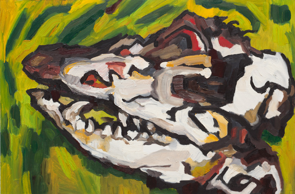 Possum Skull 1 (2009). 16" x 24". Oil on panel.