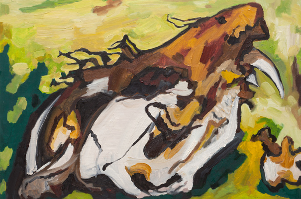 Possum Skull 4 (2009). 16" x 24". Oil on panel.