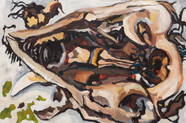 Possum Skull 5 (2010). 16" x 24". Oil on panel.