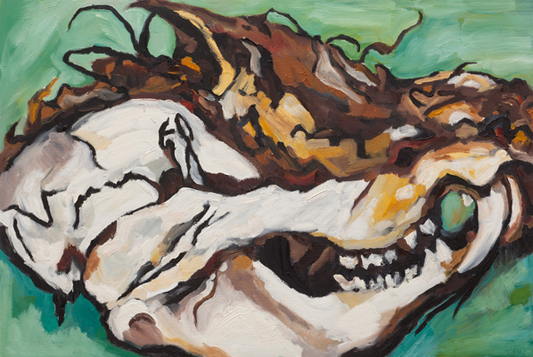 Possum Skull 6 (2010). 16" x 24". Oil on panel.