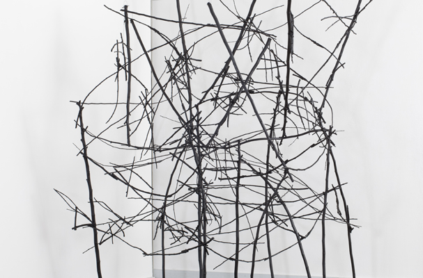 Styx (2011): installation view. Sticks, wire, acrylic paint.