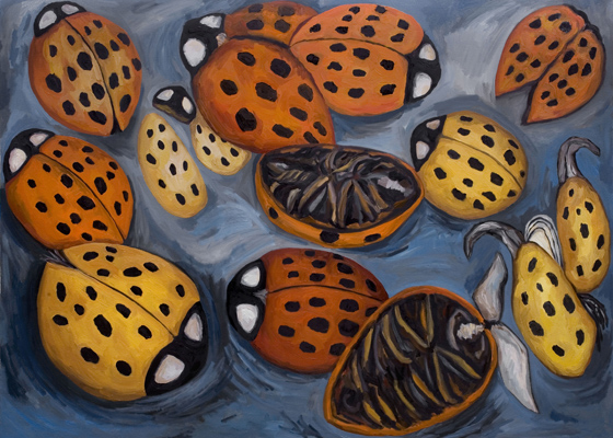 Twelve Dead Ladybugs (2007). 43" x 60". Oil on canvas.