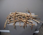 Plenty of Wood (2007). Cottonwood twigs.